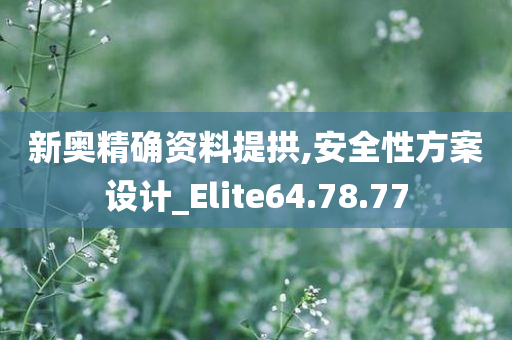 新奥精确资料提拱,安全性方案设计_Elite64.78.77