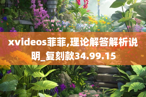 xvideos菲菲,理论解答解析说明_复刻款34.99.15