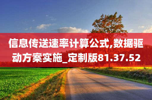 信息传送速率计算公式,数据驱动方案实施_定制版81.37.52