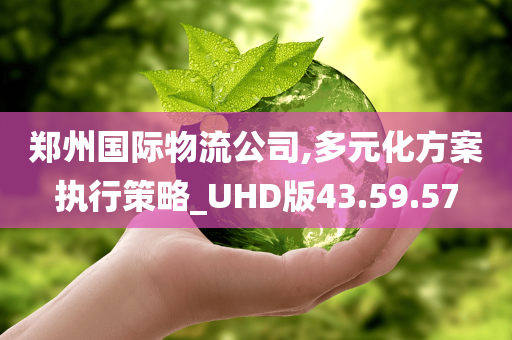 郑州国际物流公司,多元化方案执行策略_UHD版43.59.57