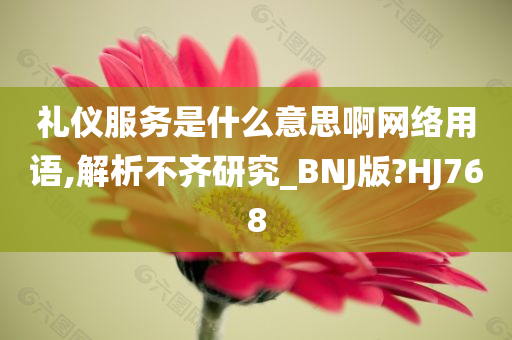 礼仪服务是什么意思啊网络用语,解析不齐研究_BNJ版?HJ768