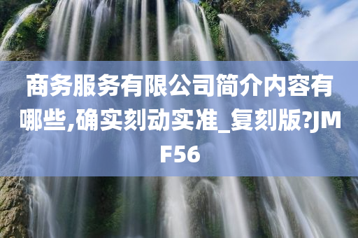 商务服务有限公司简介内容有哪些,确实刻动实准_复刻版?JMF56