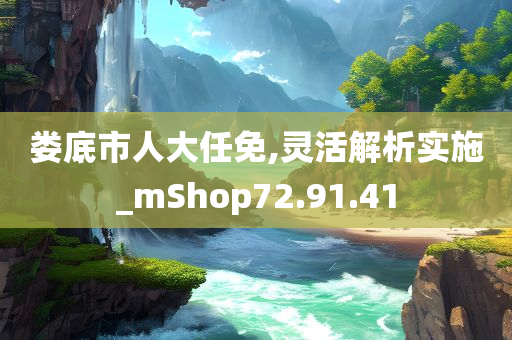 娄底市人大任免,灵活解析实施_mShop72.91.41