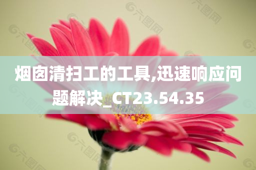 烟囱清扫工的工具,迅速响应问题解决_CT23.54.35