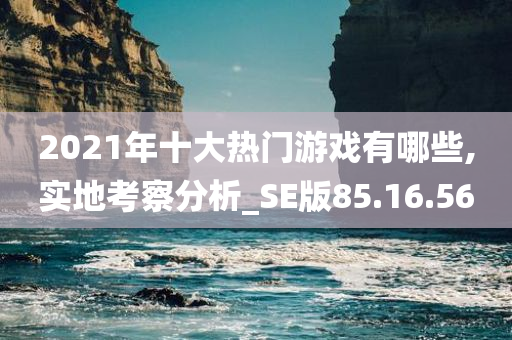 2021年十大热门游戏有哪些,实地考察分析_SE版85.16.56