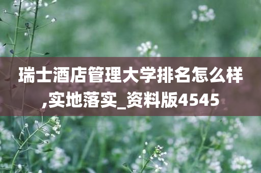 瑞士酒店管理大学排名怎么样,实地落实_资料版4545