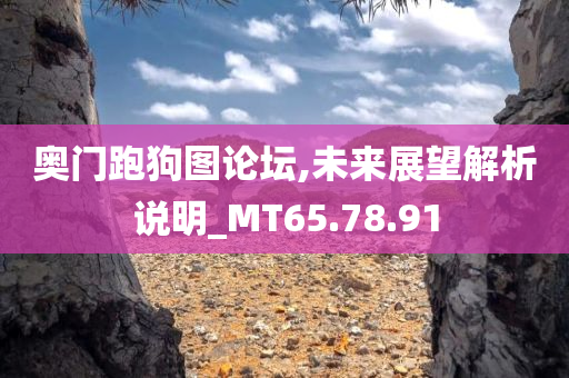 奥门跑狗图论坛,未来展望解析说明_MT65.78.91