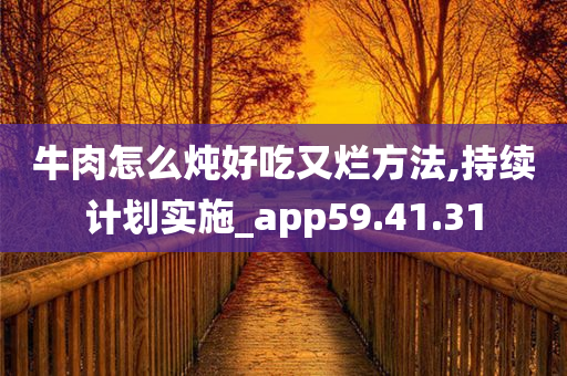 牛肉怎么炖好吃又烂方法,持续计划实施_app59.41.31