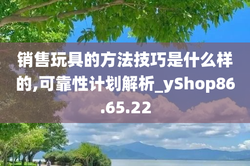 销售玩具的方法技巧是什么样的,可靠性计划解析_yShop86.65.22