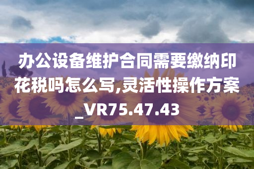 办公设备维护合同需要缴纳印花税吗怎么写,灵活性操作方案_VR75.47.43