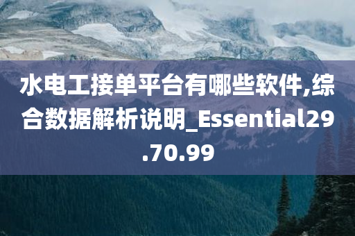 水电工接单平台有哪些软件,综合数据解析说明_Essential29.70.99