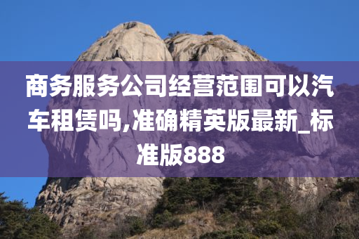 商务服务公司经营范围可以汽车租赁吗,准确精英版最新_标准版888