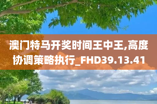 澳门特马开奖时间王中王,高度协调策略执行_FHD39.13.41