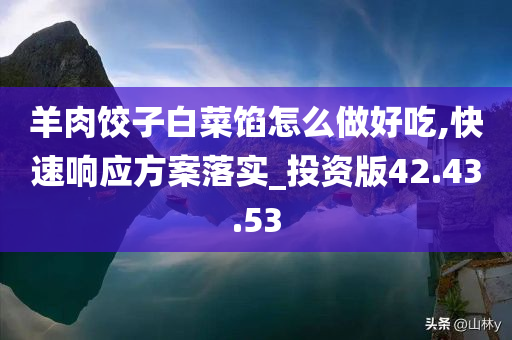 羊肉饺子白菜馅怎么做好吃,快速响应方案落实_投资版42.43.53