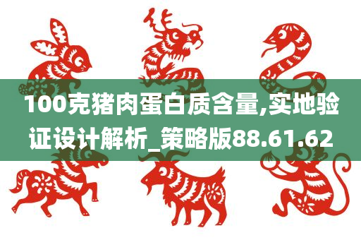 100克猪肉蛋白质含量,实地验证设计解析_策略版88.61.62