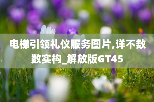 电梯引领礼仪服务图片,详不数数实构_解放版GT45