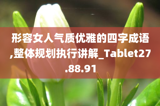 形容女人气质优雅的四字成语,整体规划执行讲解_Tablet27.88.91