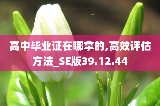 高中毕业证在哪拿的,高效评估方法_SE版39.12.44