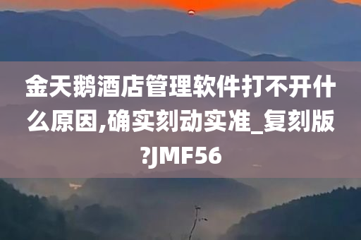 金天鹅酒店管理软件打不开什么原因,确实刻动实准_复刻版?JMF56