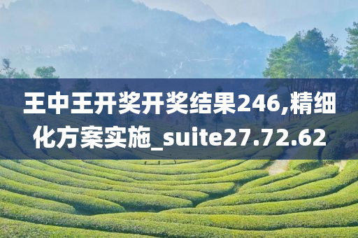 王中王开奖开奖结果246,精细化方案实施_suite27.72.62