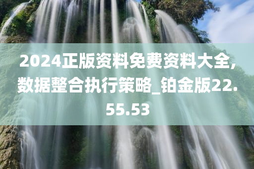 2024正版资料免费资料大全,数据整合执行策略_铂金版22.55.53