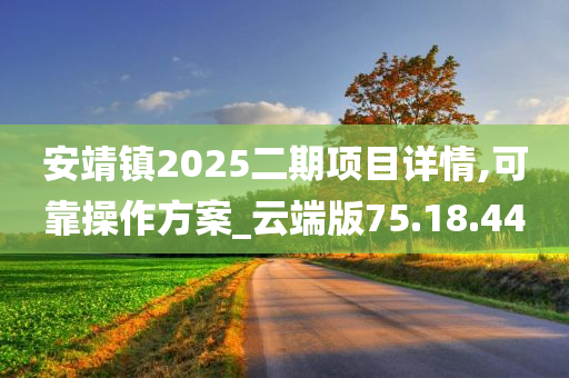 安靖镇2025二期项目详情,可靠操作方案_云端版75.18.44