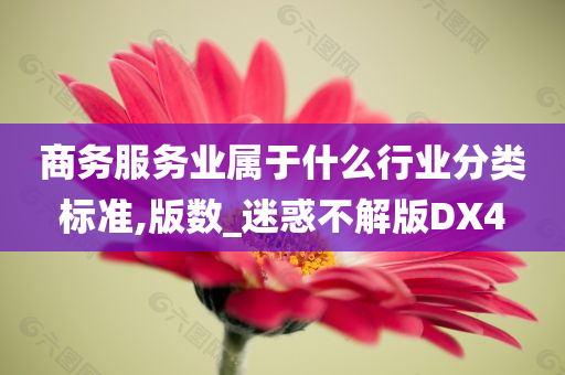 商务服务业属于什么行业分类标准,版数_迷惑不解版DX4