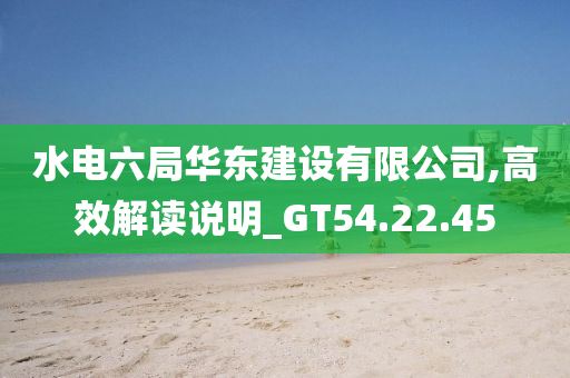 水电六局华东建设有限公司,高效解读说明_GT54.22.45