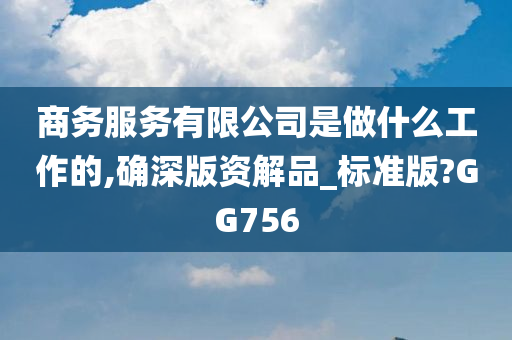 商务服务有限公司是做什么工作的,确深版资解品_标准版?GG756