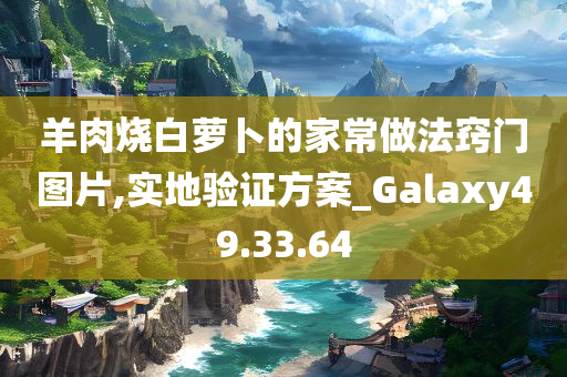 羊肉烧白萝卜的家常做法窍门图片,实地验证方案_Galaxy49.33.64