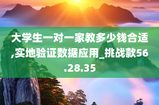 大学生一对一家教多少钱合适,实地验证数据应用_挑战款56.28.35