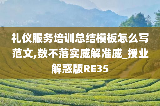 礼仪服务培训总结模板怎么写范文,数不落实威解准威_授业解惑版RE35