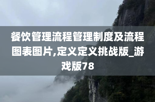 餐饮管理流程管理制度及流程图表图片,定义定义挑战版_游戏版78