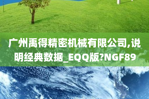 广州禹得精密机械有限公司,说明经典数据_EQQ版?NGF89