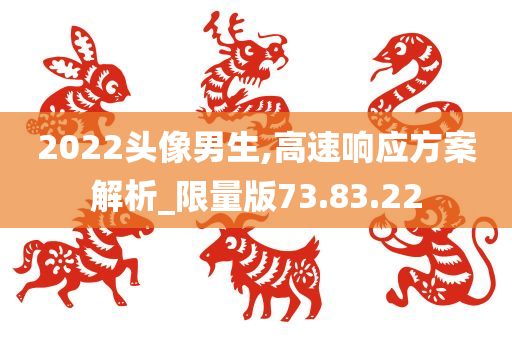 2022头像男生,高速响应方案解析_限量版73.83.22