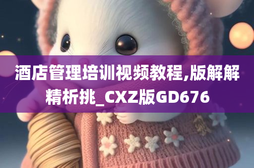 酒店管理培训视频教程,版解解精析挑_CXZ版GD676