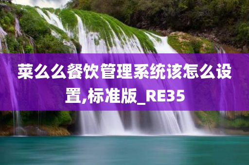 菜么么餐饮管理系统该怎么设置,标准版_RE35