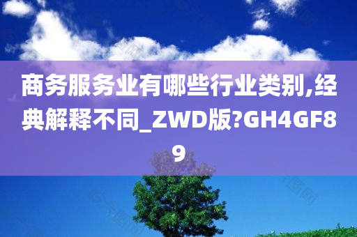 商务服务业有哪些行业类别,经典解释不同_ZWD版?GH4GF89