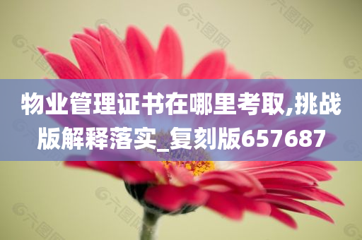 物业管理证书在哪里考取,挑战版解释落实_复刻版657687