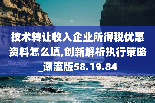 技术转让收入企业所得税优惠资料怎么填,创新解析执行策略_潮流版58.19.84