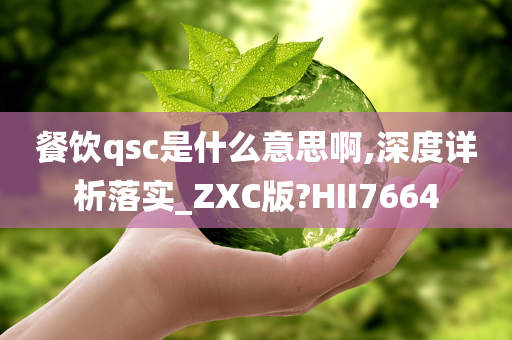 餐饮qsc是什么意思啊,深度详析落实_ZXC版?HII7664