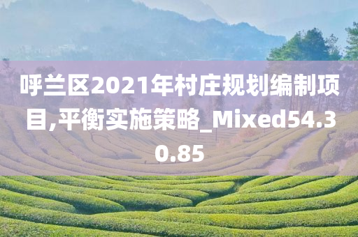 呼兰区2021年村庄规划编制项目,平衡实施策略_Mixed54.30.85