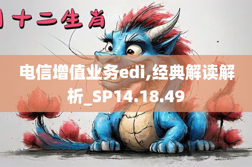 电信增值业务edi,经典解读解析_SP14.18.49