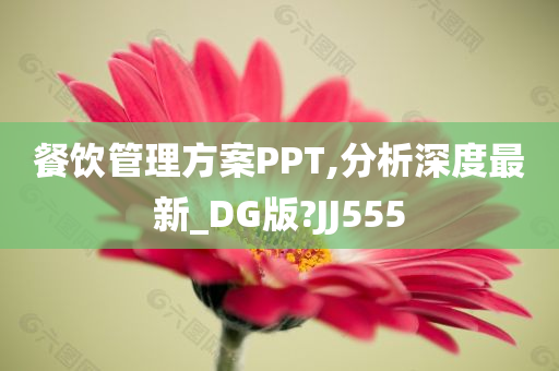 餐饮管理方案PPT,分析深度最新_DG版?JJ555