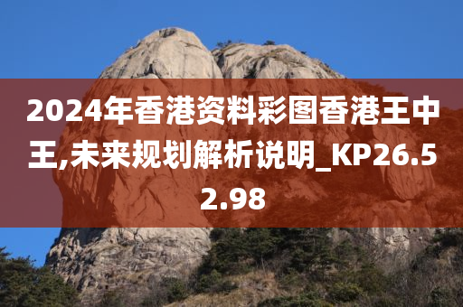 2024年香港资料彩图香港王中王,未来规划解析说明_KP26.52.98