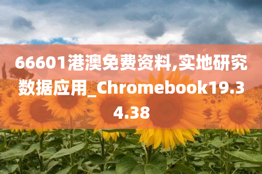 66601港澳免费资料,实地研究数据应用_Chromebook19.34.38