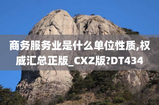 商务服务业是什么单位性质,权威汇总正版_CXZ版?DT434