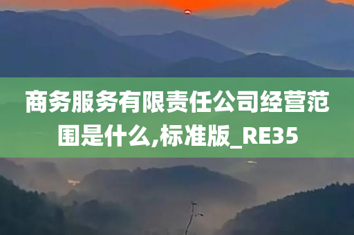 商务服务有限责任公司经营范围是什么,标准版_RE35