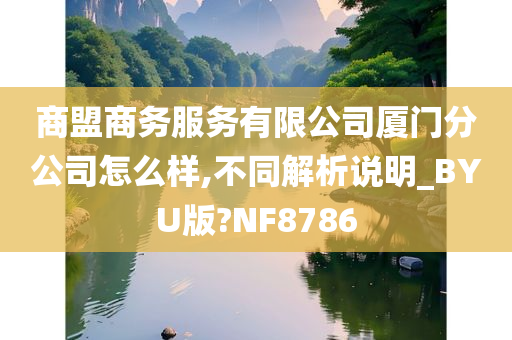 商盟商务服务有限公司厦门分公司怎么样,不同解析说明_BYU版?NF8786