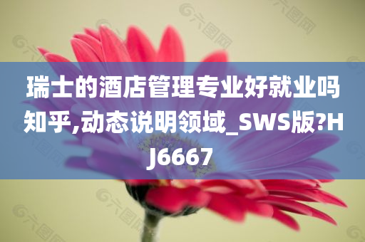 瑞士的酒店管理专业好就业吗知乎,动态说明领域_SWS版?HJ6667